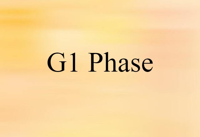 G1 Phase (noun) Definition, Meaning & Examples