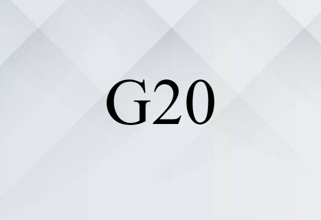 G20 (noun) Definition, Meaning & Examples