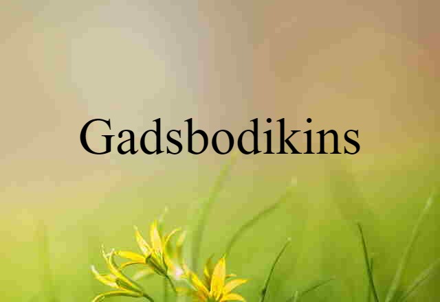 Gadsbodikins (noun) Definition, Meaning & Examples