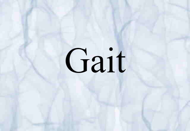 Gait (noun) Definition, Meaning & Examples