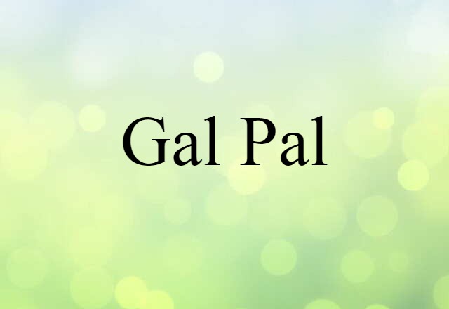 Gal Pal (noun) Definition, Meaning & Examples