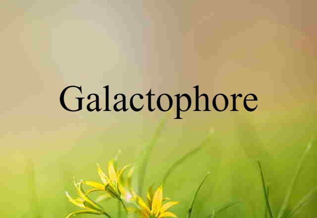 galactophore