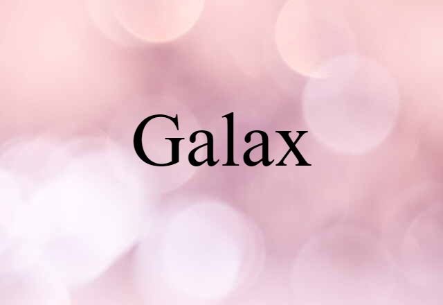 Galax (noun) Definition, Meaning & Examples