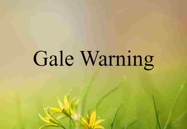 Gale Warning (noun) Definition, Meaning & Examples