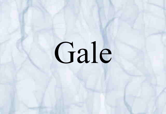 gale