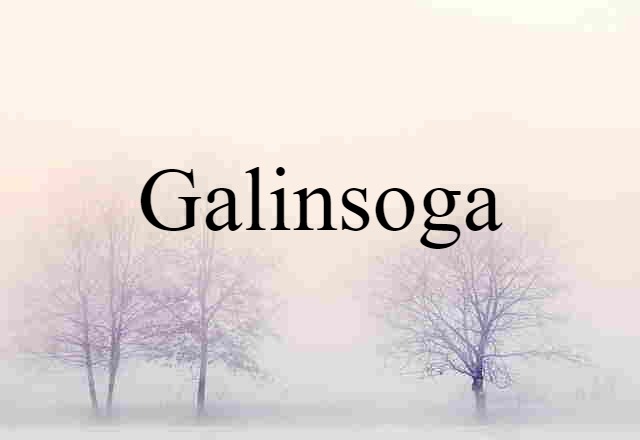 galinsoga