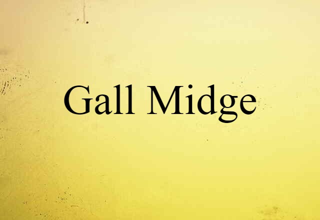 gall midge