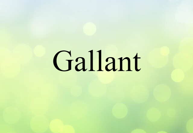 Gallant (noun) Definition, Meaning & Examples