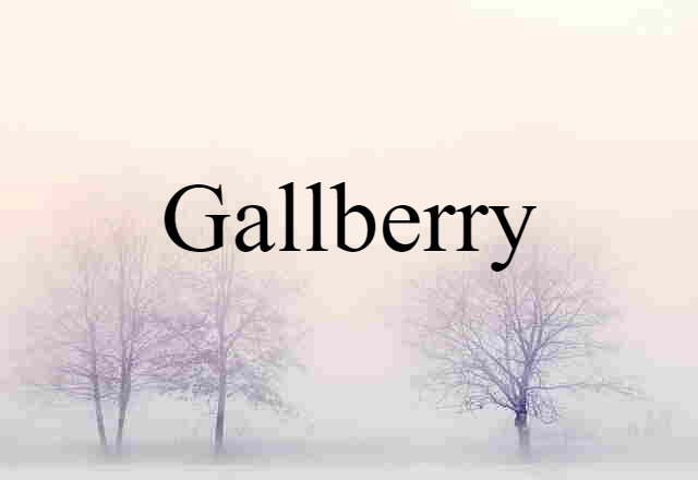 gallberry