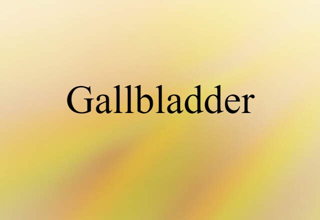 gallbladder