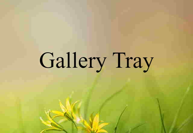 Gallery Tray (noun) Definition, Meaning & Examples