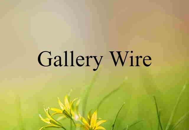 Gallery Wire (noun) Definition, Meaning & Examples