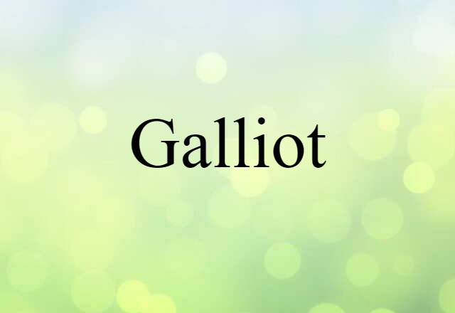 Galliot (noun) Definition, Meaning & Examples