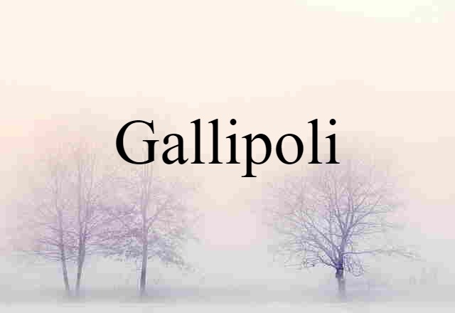 Gallipoli (noun) Definition, Meaning & Examples