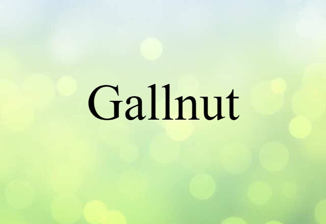 gallnut