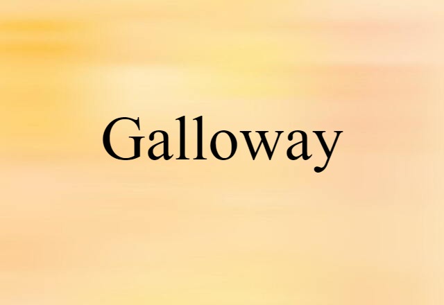 Galloway (noun) Definition, Meaning & Examples