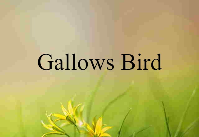 Gallows Bird (noun) Definition, Meaning & Examples