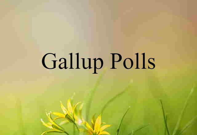 Gallup Polls (noun) Definition, Meaning & Examples