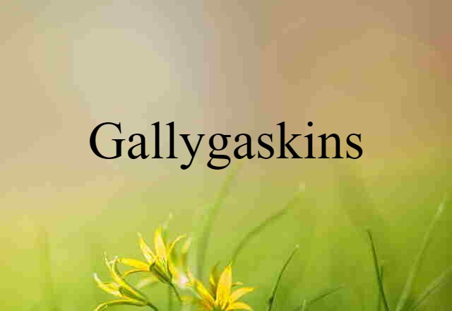 gallygaskins