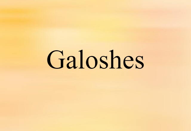 Galoshes (noun) Definition, Meaning & Examples