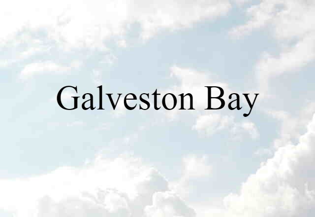 Galveston Bay (noun) Definition, Meaning & Examples