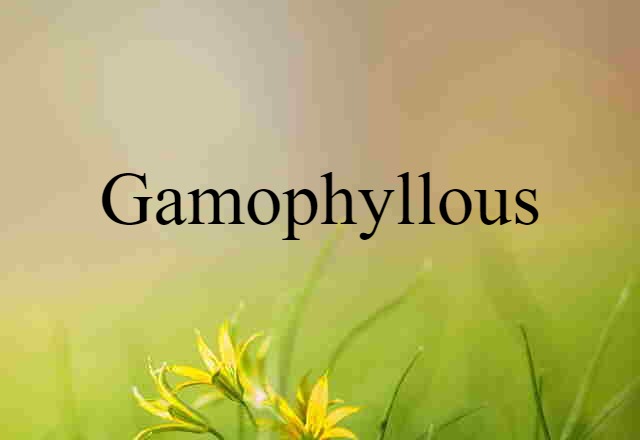 gamophyllous