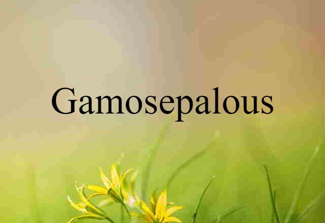 Gamosepalous (noun) Definition, Meaning & Examples