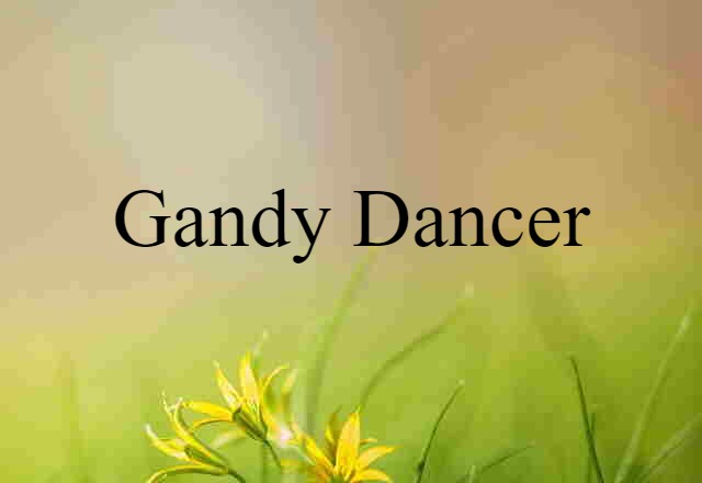 gandy dancer