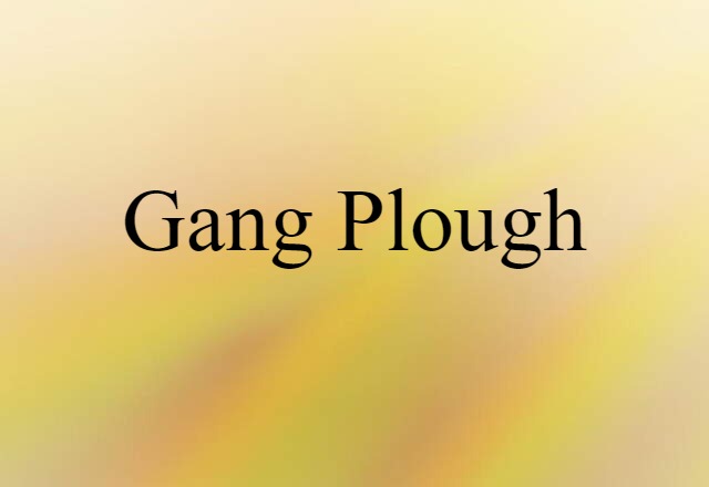 Gang Plough (noun) Definition, Meaning & Examples