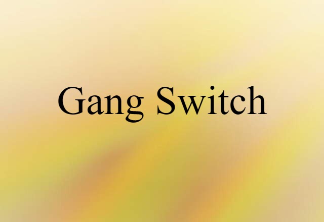 gang switch