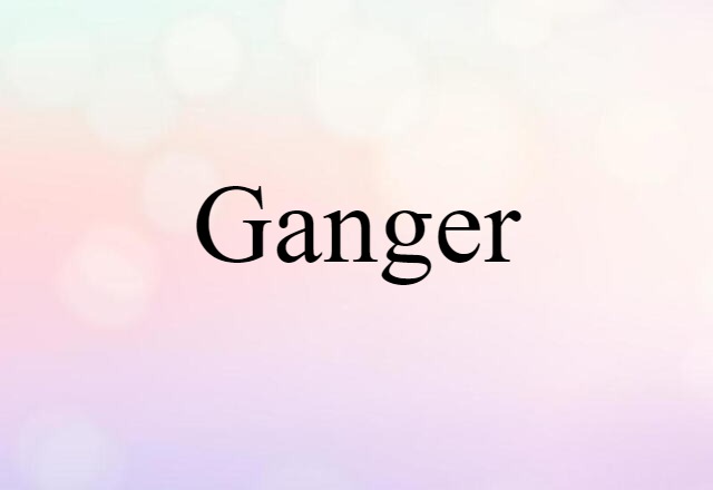 Ganger (noun) Definition, Meaning & Examples