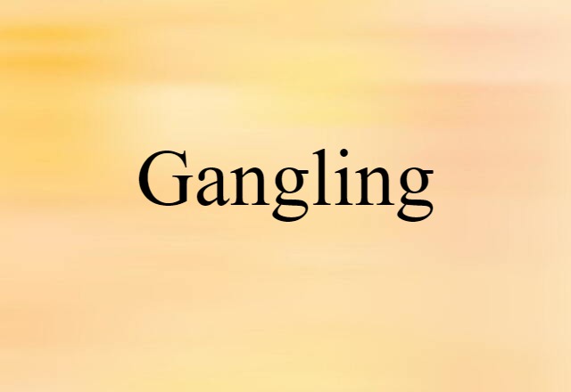 Gangling (noun) Definition, Meaning & Examples