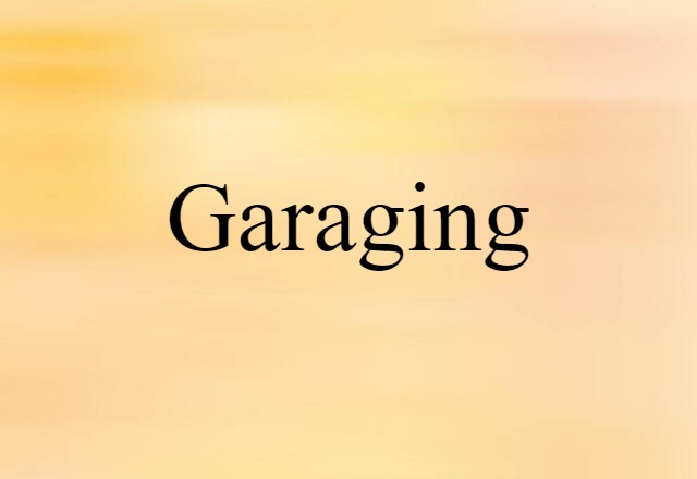 Garaging (noun) Definition, Meaning & Examples