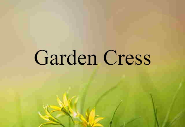 garden cress