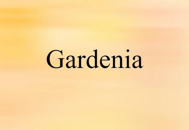 gardenia