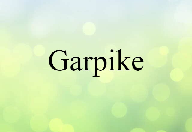 Garpike (noun) Definition, Meaning & Examples