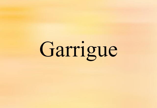 Garrigue (noun) Definition, Meaning & Examples