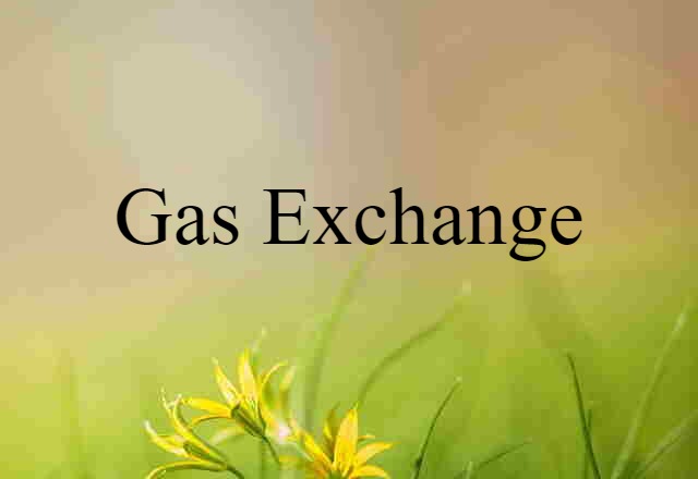 Gas Exchange (noun) Definition, Meaning & Examples