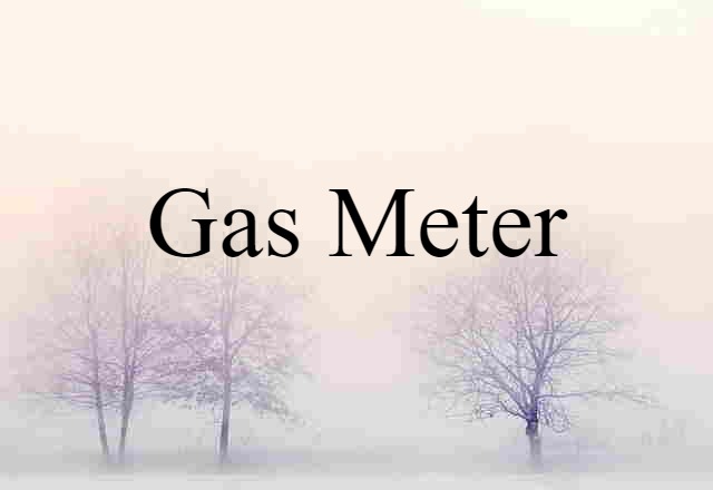 Gas Meter (noun) Definition, Meaning & Examples