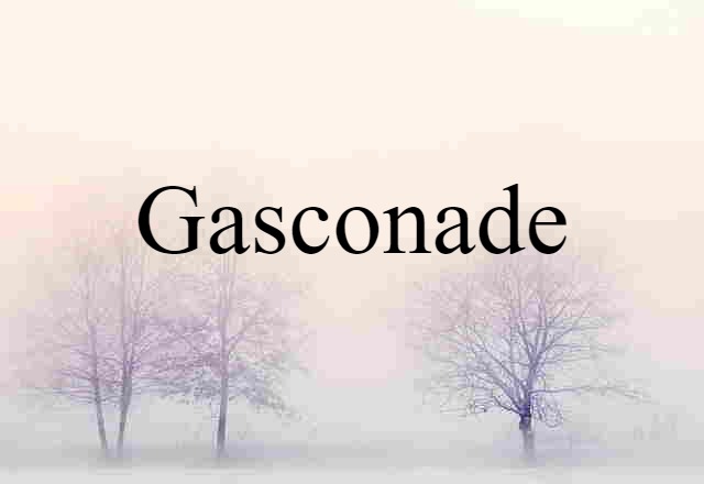 Gasconade (noun) Definition, Meaning & Examples