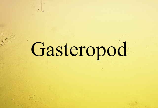 gasteropod