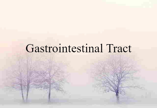 gastrointestinal tract