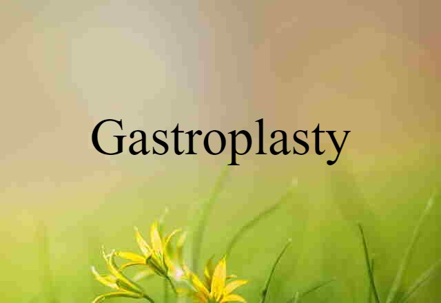 Gastroplasty (noun) Definition, Meaning & Examples