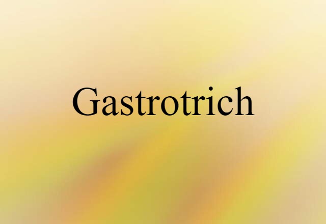 Gastrotrich (noun) Definition, Meaning & Examples