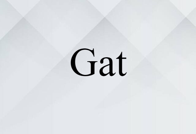 Gat (noun) Definition, Meaning & Examples