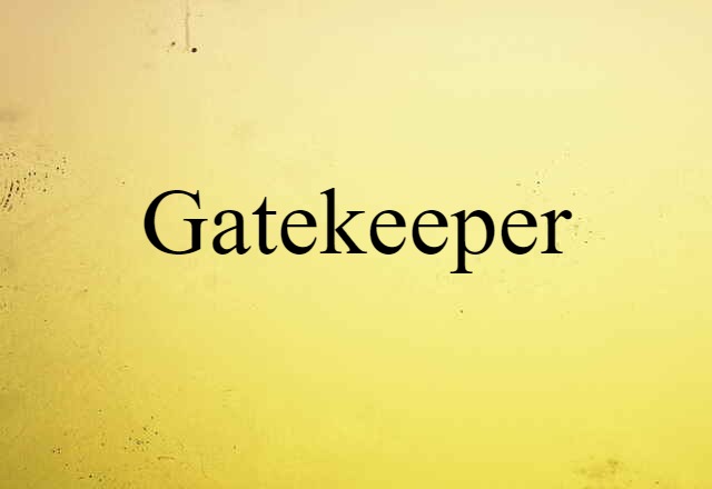 Gatekeeper (noun) Definition, Meaning & Examples