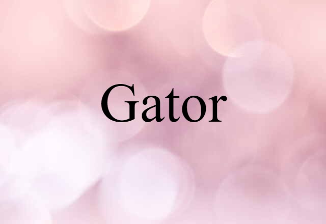 Gator (noun) Definition, Meaning & Examples