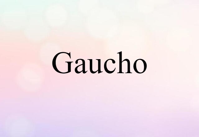 Gaucho (noun) Definition, Meaning & Examples