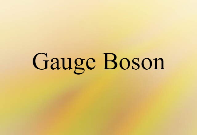 gauge boson