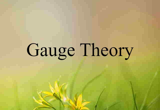 gauge theory